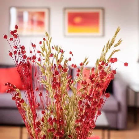 Cigarreras Lovely Loft Alicante
